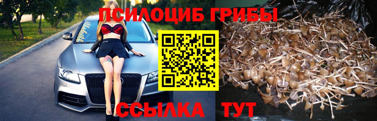 Псилоцибиновые грибы Psilocybine cubensis  Галлюциногенные грибы Psilocybe  Вход с VPN  Самара 