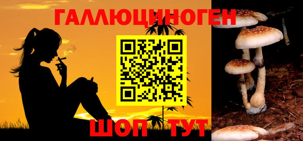 Псилоцибиновые грибы MAGIC MUSHROOMS Самара