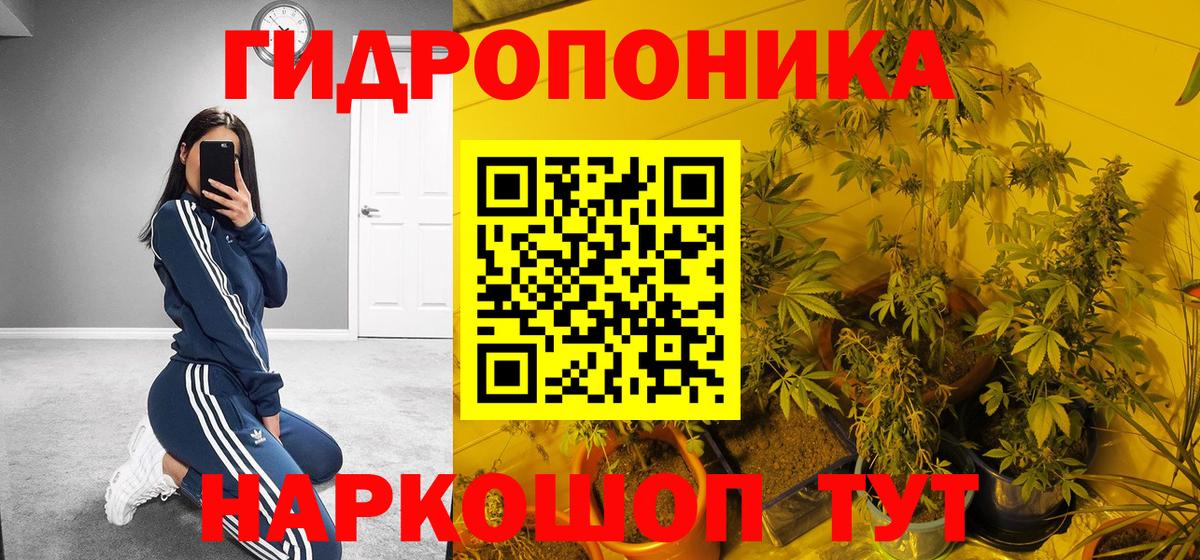 Канабис семена Самара